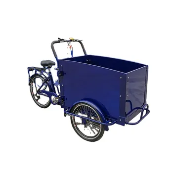 Семейный Электрический грузовой трехколесный велосипед на 3 колеса для взрослых, детский велосипед для продажи кофе с деревянной коробкой